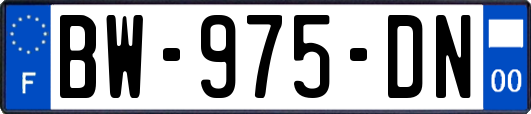 BW-975-DN