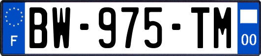 BW-975-TM