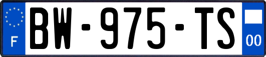 BW-975-TS