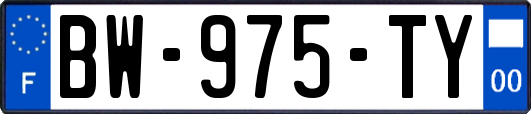 BW-975-TY