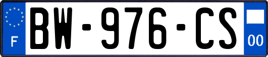 BW-976-CS