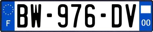 BW-976-DV