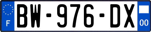 BW-976-DX