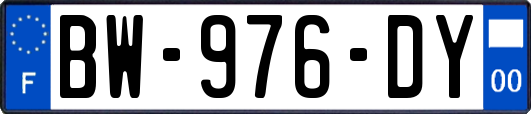 BW-976-DY