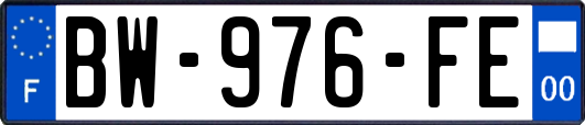 BW-976-FE