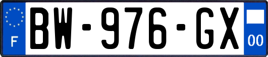 BW-976-GX