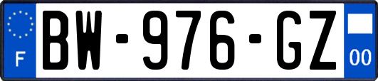 BW-976-GZ