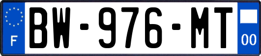 BW-976-MT