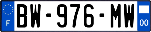 BW-976-MW