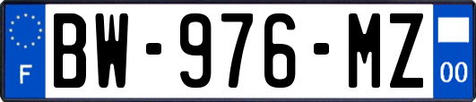 BW-976-MZ