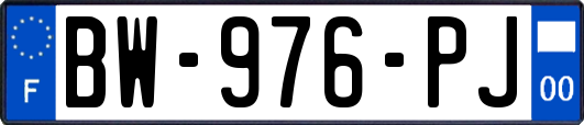 BW-976-PJ