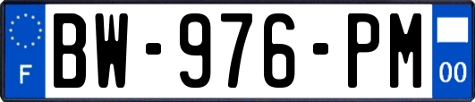 BW-976-PM