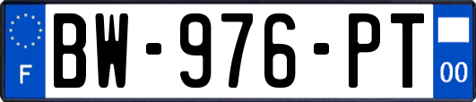 BW-976-PT