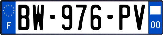BW-976-PV