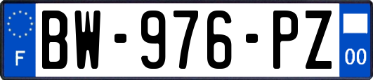 BW-976-PZ