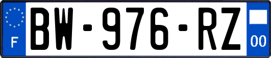 BW-976-RZ