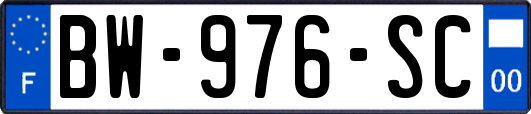 BW-976-SC