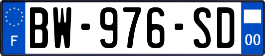 BW-976-SD