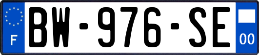 BW-976-SE