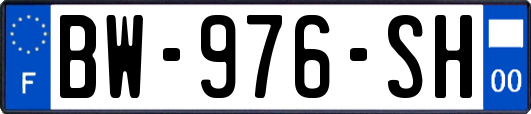 BW-976-SH