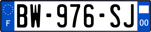 BW-976-SJ
