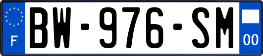 BW-976-SM