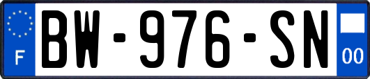 BW-976-SN