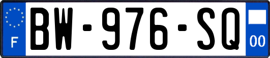 BW-976-SQ