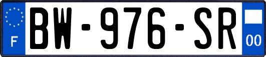 BW-976-SR