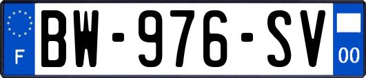 BW-976-SV