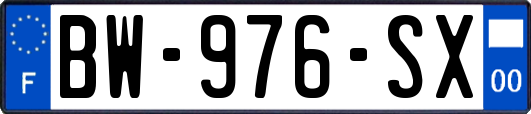 BW-976-SX