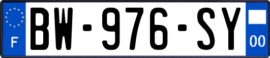 BW-976-SY