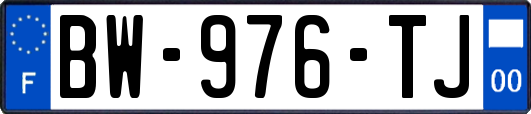 BW-976-TJ