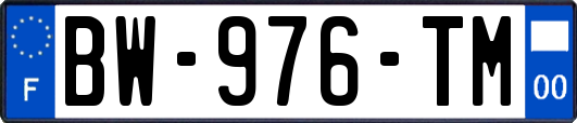 BW-976-TM