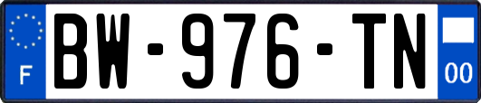 BW-976-TN