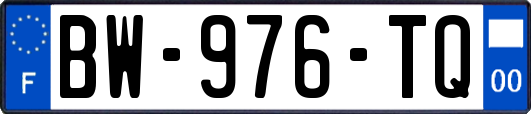 BW-976-TQ