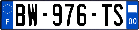 BW-976-TS