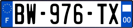 BW-976-TX