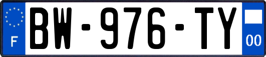 BW-976-TY