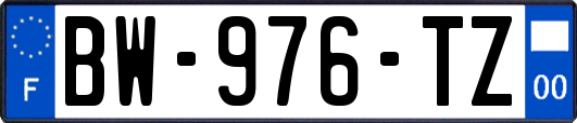 BW-976-TZ