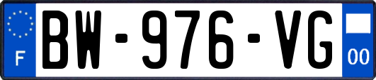 BW-976-VG