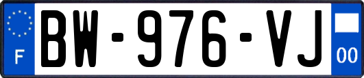 BW-976-VJ