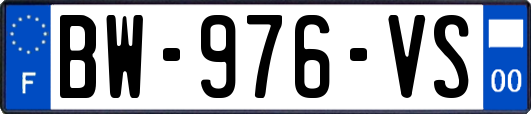 BW-976-VS