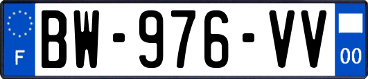 BW-976-VV
