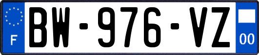 BW-976-VZ