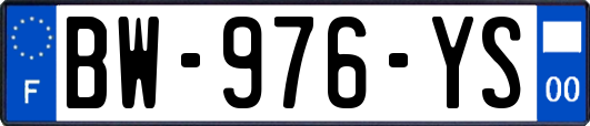 BW-976-YS