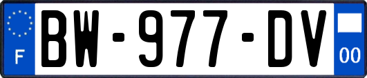 BW-977-DV