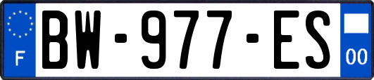 BW-977-ES