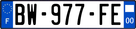 BW-977-FE