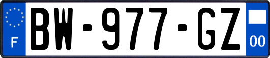 BW-977-GZ